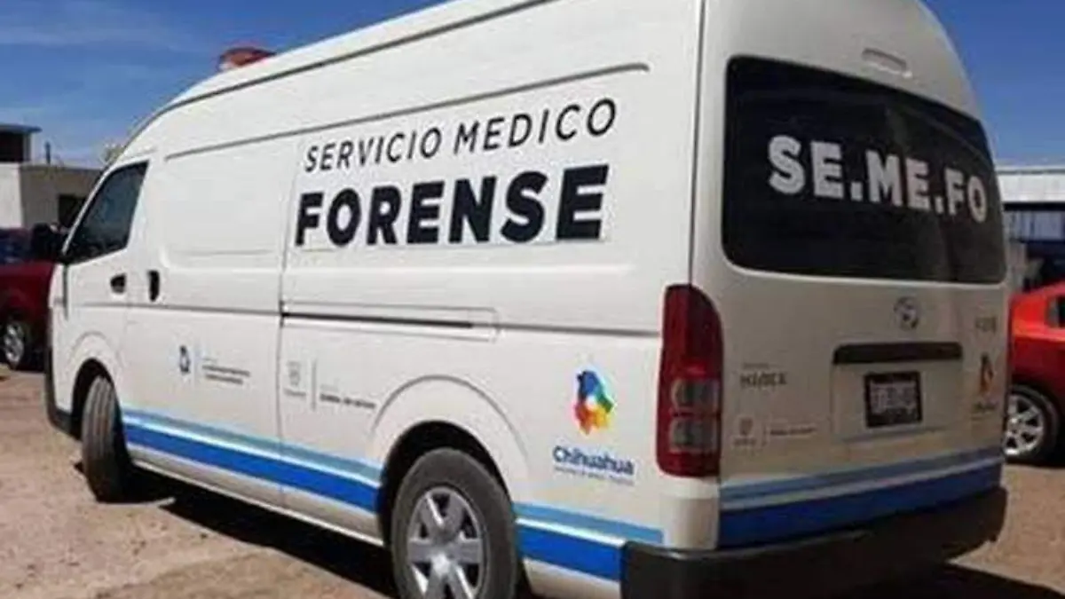 Semefo (2)